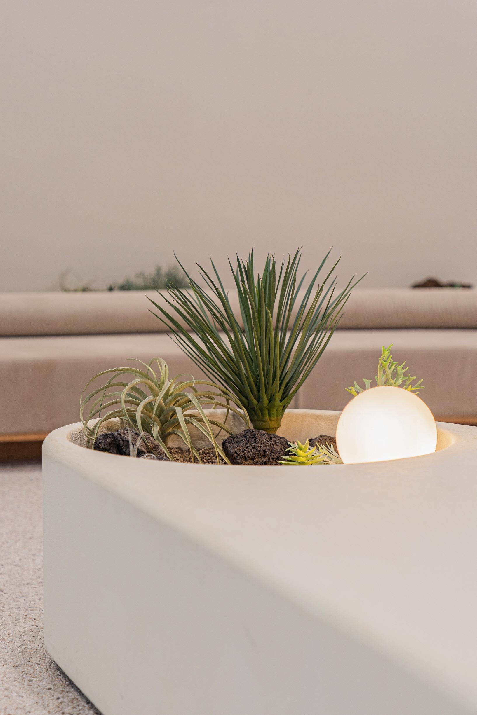 더 코나 메디스페이스 포트폴리오